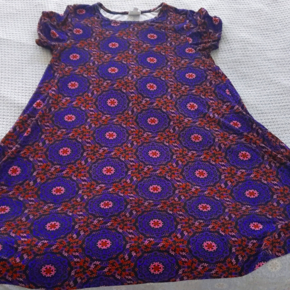 LuLaRoe Purple and Red High Low Dress
